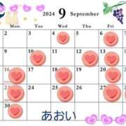 ヒメ日記 2024/08/31 22:35 投稿 あおい 逢って30秒で即尺