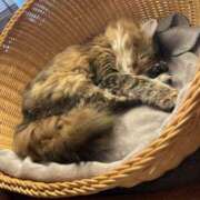 ヒメ日記 2025/03/25 12:00 投稿 みつき 青チェと赤チェ