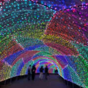 ヒメ日記 2025/12/01 18:00 投稿 みつき 青チェと赤チェ