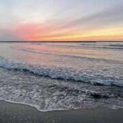 なお 復活です！！🍉🌻🌺🌴♡♡ 東京人妻セレブリティ（ユメオト）