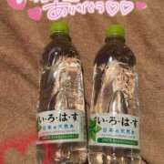 ヒメ日記 2025/01/02 15:46 投稿 ちはや 激安ソープの殿堂　ボイン・ホーテ