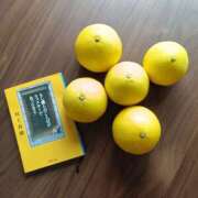 ヒメ日記 2025/05/12 15:20 投稿 はるみ 錦糸町ミセスアロマ（ユメオト）