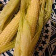 ヒメ日記 2025/06/13 22:24 投稿 はるみ 錦糸町ミセスアロマ（ユメオト）