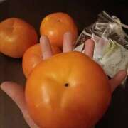 ヒメ日記 2025/11/11 00:24 投稿 はるみ 錦糸町ミセスアロマ（ユメオト）