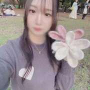 ヒメ日記 2025/11/05 04:45 投稿 かれん お姉京都