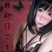 ヒメ日記 2025/04/13 11:01 投稿 うさみ 多恋人倶楽部　宇部店