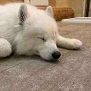 うりん ありがとう🐶 ビギナーズ神戸