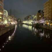 ヒメ日記 2025/03/31 20:33 投稿 みさこ 横浜しこたまクリニック