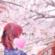 ヒメ日記 2025/04/05 08:03 投稿 みさこ 横浜しこたまクリニック