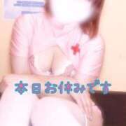 ヒメ日記 2025/05/26 12:53 投稿 みさこ 横浜しこたまクリニック