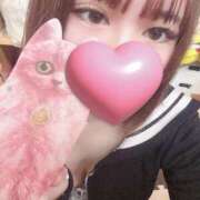 ヒメ日記 2025/02/12 22:41 投稿 ねる マスケラ