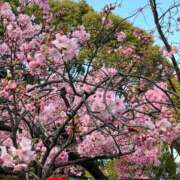 ヒメ日記 2025/03/27 10:06 投稿 ねる マスケラ