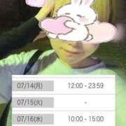 ヒメ日記 2025/07/13 00:22 投稿 ねる マスケラ