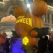 ヒメ日記 2025/10/17 10:14 投稿 ねる マスケラ