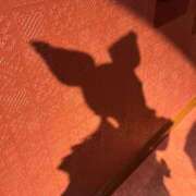 ヒメ日記 2025/11/06 11:25 投稿 ねる マスケラ