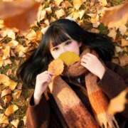 ヒメ日記 2025/11/25 10:00 投稿 ねる マスケラ