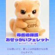 ねる koiキャラ診断だって〜！ マスケラ