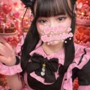 ねる ご主人様のご帰宅お待ちしてる🐱🐾 マスケラ