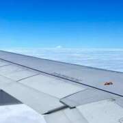 ねる 生きてます🍀 マスケラ