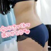 ヒメ日記 2025/04/22 17:15 投稿 ことね 兵庫姫路・加古川ちゃんこ