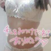 ヒメ日記 2025/08/15 10:30 投稿 ことね 兵庫姫路・加古川ちゃんこ