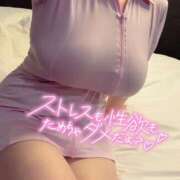 ヒメ日記 2025/11/29 12:57 投稿 ねね先生 渋谷   大人の幼稚園