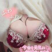 ヒメ日記 2025/12/19 10:17 投稿 ねね先生 渋谷   大人の幼稚園