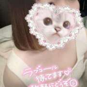 ヒメ日記 2024/12/20 16:54 投稿 日向あおい 久喜鷲宮ちゃんこ