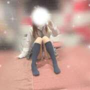 ヒメ日記 2025/02/19 19:33 投稿 ももか【可愛い系代表♡】 ポニーテール和歌山店