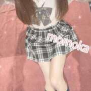 ヒメ日記 2025/02/21 11:08 投稿 ももか【可愛い系代表♡】 ポニーテール和歌山店