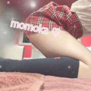 ヒメ日記 2025/02/22 15:15 投稿 ももか【可愛い系代表♡】 ポニーテール和歌山店