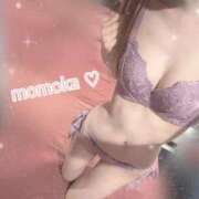 ヒメ日記 2025/03/08 11:19 投稿 ももか【可愛い系代表♡】 ポニーテール和歌山店