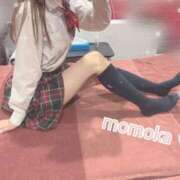 ヒメ日記 2025/03/08 15:27 投稿 ももか【可愛い系代表♡】 ポニーテール和歌山店