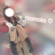 ヒメ日記 2025/03/19 11:16 投稿 ももか【可愛い系代表♡】 ポニーテール和歌山店