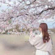 ヒメ日記 2025/04/09 12:16 投稿 ももか【可愛い系代表♡】 ポニーテール和歌山店