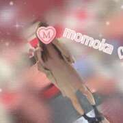 ヒメ日記 2025/04/10 11:31 投稿 ももか【可愛い系代表♡】 ポニーテール和歌山店