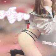 ヒメ日記 2025/04/12 11:05 投稿 ももか【可愛い系代表♡】 ポニーテール和歌山店