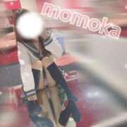 ヒメ日記 2025/09/18 00:32 投稿 ももか【可愛い系代表♡】 ポニーテール和歌山店