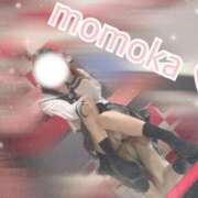 ヒメ日記 2025/09/22 00:12 投稿 ももか【可愛い系代表♡】 ポニーテール和歌山店