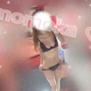 ヒメ日記 2025/10/19 23:52 投稿 ももか【可愛い系代表♡】 ポニーテール和歌山店