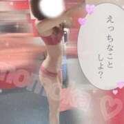 ヒメ日記 2026/02/14 11:47 投稿 ももか【可愛い系代表♡】 ポニーテール和歌山店