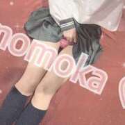 ヒメ日記 2026/02/14 16:32 投稿 ももか【可愛い系代表♡】 ポニーテール和歌山店