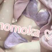 ヒメ日記 2026/02/20 19:52 投稿 ももか【可愛い系代表♡】 ポニーテール和歌山店