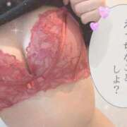 ヒメ日記 2026/02/21 11:43 投稿 ももか【可愛い系代表♡】 ポニーテール和歌山店