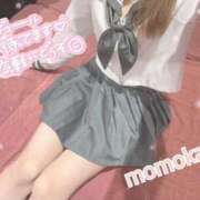 ヒメ日記 2026/02/22 18:22 投稿 ももか【可愛い系代表♡】 ポニーテール和歌山店