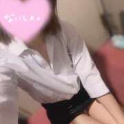 ヒメ日記 2025/04/16 17:20 投稿 さくら 学園祭