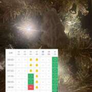 ヒメ日記 2024/12/24 19:46 投稿 アンリ ラブコレクション