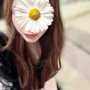 ヒメ日記 2025/01/02 11:16 投稿 アンリ ラブコレクション