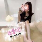 ヒメ日記 2025/08/17 06:16 投稿 アンリ ラブコレクション