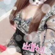 ヒメ日記 2025/09/21 06:31 投稿 アンリ ラブコレクション